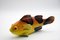 Großer italienischer Fisch aus glasierter Keramik, 1960er 1