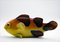 Großer italienischer Fisch aus glasierter Keramik, 1960er 2