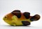 Large Italian Fish in Glazed Ceramic, 1960s, Image 2