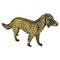 Bronze-Hund im Stil von Jules Moigniez, Frankreich, 1880er 1