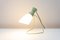 Mid-Century Desk Lamp attributed to Josef Hurka for Napako, 1960s 14