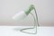 Mid-Century Desk Lamp attributed to Josef Hurka for Napako, 1960s, Image 4