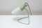 Mid-Century Desk Lamp attributed to Josef Hurka for Napako, 1960s 5