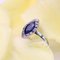 French Art Deco 18 Karat White Gold Shuttle Ring with Sapphire and Diamonds, 1920s 7