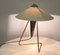 Czech Modernist Desk Lamp by Helena Frantova for Okolo, 1950s 6