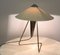 Czech Modernist Desk Lamp by Helena Frantova for Okolo, 1950s, Image 6