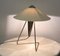 Czech Modernist Desk Lamp by Helena Frantova for Okolo, 1950s, Image 7