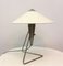 Czech Modernist Desk Lamp by Helena Frantova for Okolo, 1950s 1