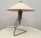 Czech Modernist Desk Lamp by Helena Frantova for Okolo, 1950s 3