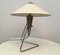Czech Modernist Desk Lamp by Helena Frantova for Okolo, 1950s, Image 3