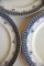 Collection of Victorian Blue Plates, Set of 12 8