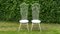 Sedie da giardino Mid-Cency vintage in ferro e metallo, anni '50, set di 2, Immagine 2