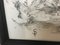 Simon Postgate, Greyhound, 2022, Charcoal & Ink on Paper, Framed 4