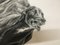 Simon Postgate, Greyhound, 2022, Carboncillo y Tinta sobre Papel, Enmarcado, Imagen 3