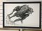 Simon Postgate, Greyhound, 2022, Charcoal & Ink on Paper, Framed 2