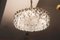 Lampadario grande vintage in cristallo di Bakalowits & Sohne, Immagine 10