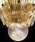 Lampada da soffitto Palmette con 104 bicchieri trasparenti e ambrati, anni '80, Immagine 14