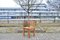 Set of Model S11 Saddle Dining Chairs in Cognac Leather by Pierre Chapo, 1960s 11