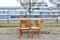 Set of Model S11 Saddle Dining Chairs in Cognac Leather by Pierre Chapo, 1960s 1