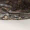 Uccello in argento 925 di Nava e Nencini, Immagine 7