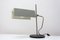 Mid-Century Desk Lamp, Czechoslovakia, 1960s 4