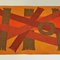 Italienischer Space Age Rot Orange Brauner Kurzflor Teppich mit Geometrischem Muster, 1970er 5