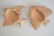 Mid-Century Ceramic Wall Fish Decorations, Italy, 1950s, Set of 2 4