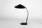 Mid-Century Gooseneck Table Lamp from Instala Decin, Czechoslovakia, 1960s 1