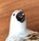 Figura de pájaro codorniz vintage de porcelana de B. Jackson, Imagen 16