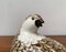 Figura de pájaro codorniz vintage de porcelana de B. Jackson, Imagen 19