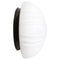 Mid-Century Mat White Opaline Glass Wall Lamp, Image 1