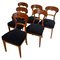 Biedermeier Shovel Chairs in Walnut, Roots Veneer, South Germany, 1845, Set of 6, Image 1