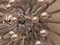 Lampada da parete Pistillo vintage placcata in argento di Studio Tetrarch per Valenti Luce, Immagine 7