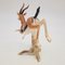 Gazelle en Porcelaine de Göbel, Allemagne, 1970s 4