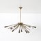 Mid-Century Modern Sputnik Chandelier, 1950s 1