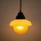 Antique Acorn Pendant Light in Opaline & Frosted Glass, Image 3