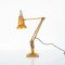 Goldene MKII Anglepoise Lampe von Herbert Terry 1