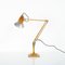 Goldene MKII Anglepoise Lampe von Herbert Terry 5