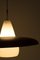 Vintage Pendant Light from Philips 6