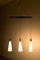 Lámpara colgante danesa de teca, Imagen 6