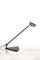 Halogen Desk Lamp by Rob Wermenbol 1
