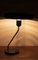 Desk Lamp by Louis Kalff for Philips 2