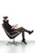 Set of Jorge Zalszupin Chairs 7