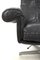 DS Armchair from de Sede 5