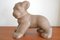 Bebé león de cerámica, años 60, Imagen 1