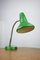 Lámpara de escritorio ajustable de metal pintado en verde y brazo en espiral cromado de TEP, años 70, Imagen 1