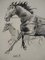 Joan Albert, Horse, 1980, Pencil on Paper 2