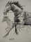 Joan Albert, Horse, 1980, Pencil on Paper, Image 2