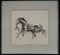 Joan Albert, Horse, 1980, Pencil on Paper 4
