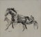 Joan Albert, Horse, 1980, Pencil on Paper 1